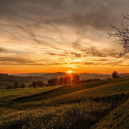 Haus Dina Villa Bodenwerder Kültér fotó